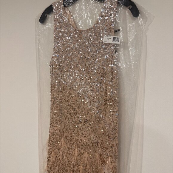 Parker Champagne Dress w/ Ombre Sequins & Feather Detail - Picture 6 of 6